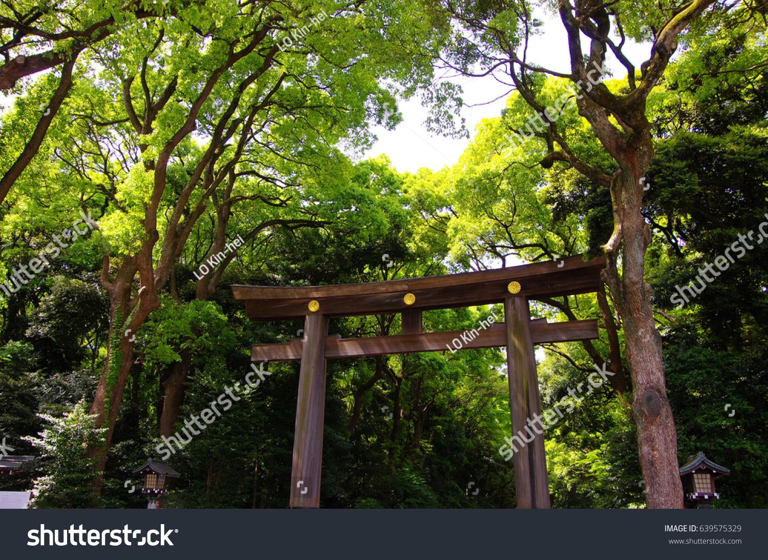 Gigantic Front Gate New Leaves Spring Stock Photo Edit Now