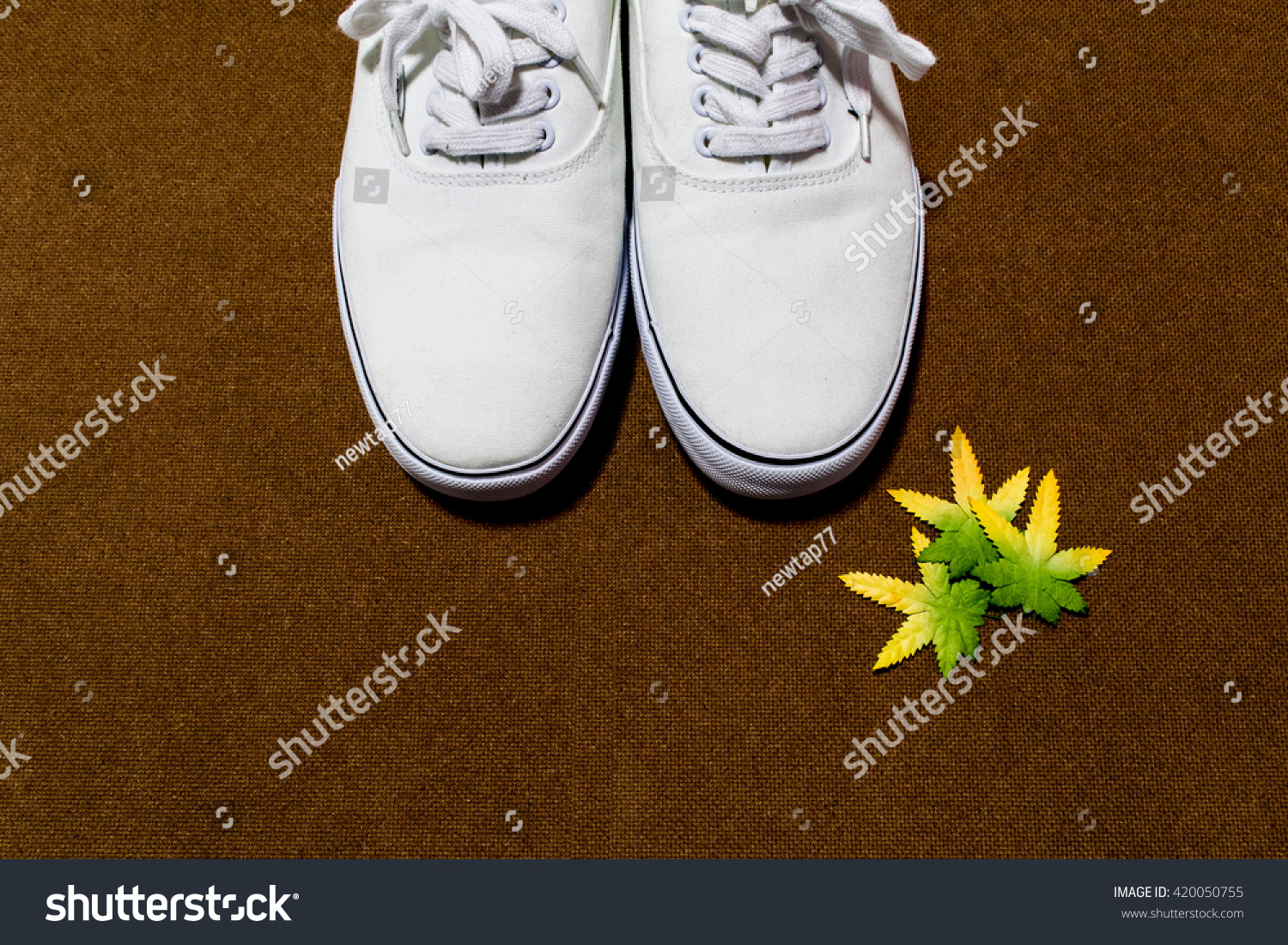 Half White Shoes On Dark Brown Royalty Free Stock Image