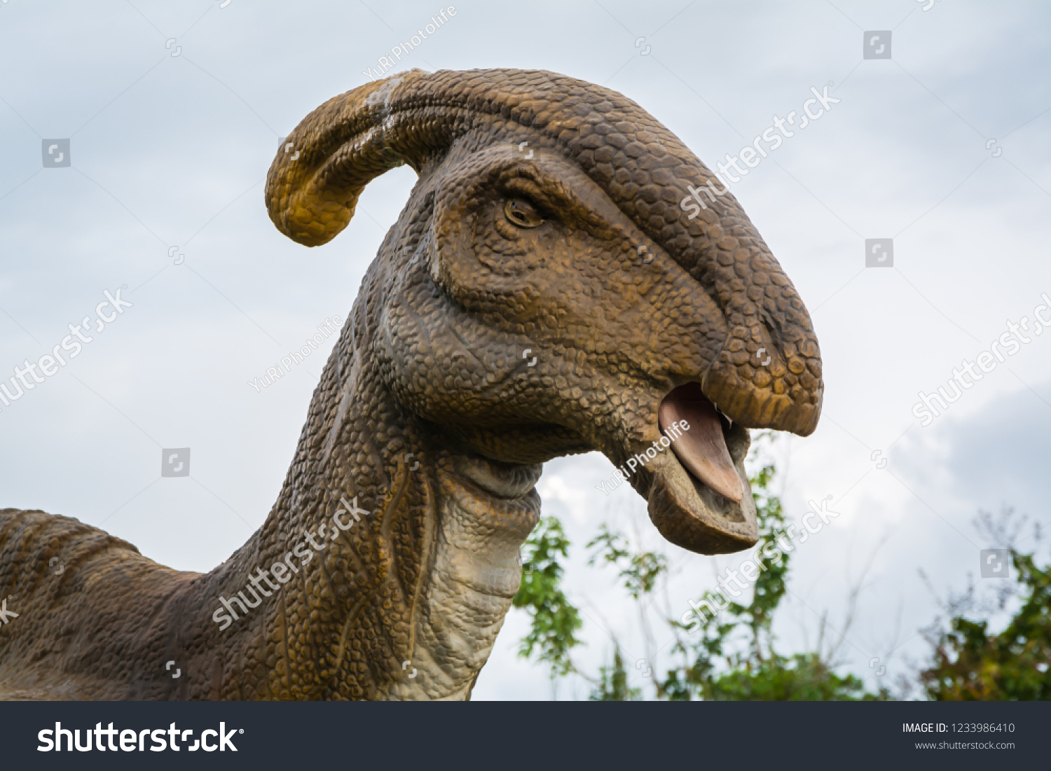 Head Parasaurolophus Walkeri Herbivorous Dinosaurs Stock Photo (Edit ...