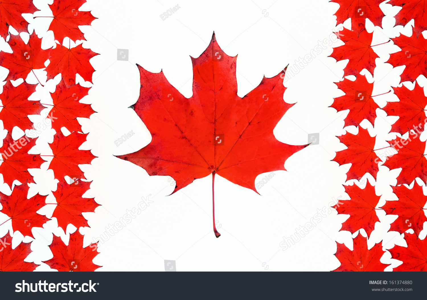 image flag canada made red maple