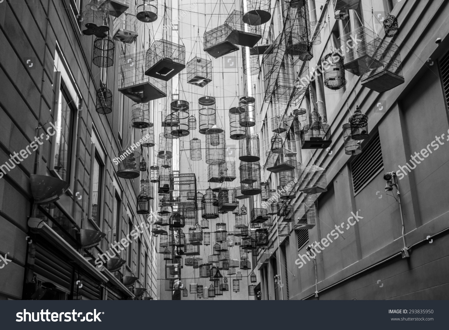 Impressive Bird Cage Alley Sydney Stock Photo (Edit Now) 293835950