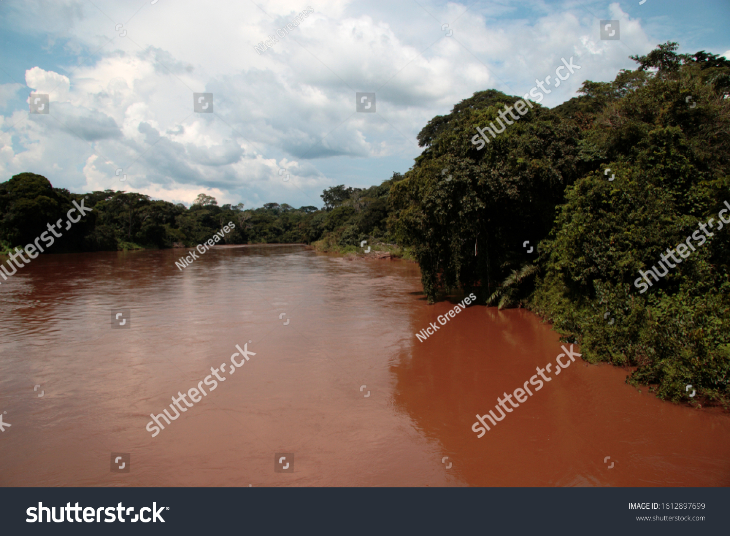 53 Ituri Forest Images Stock Photos Vectors Shutterstock   Stock Photo The Ituri River Is Named After The Section Of The Central African Rainforest That It Flows Through 1612897699 