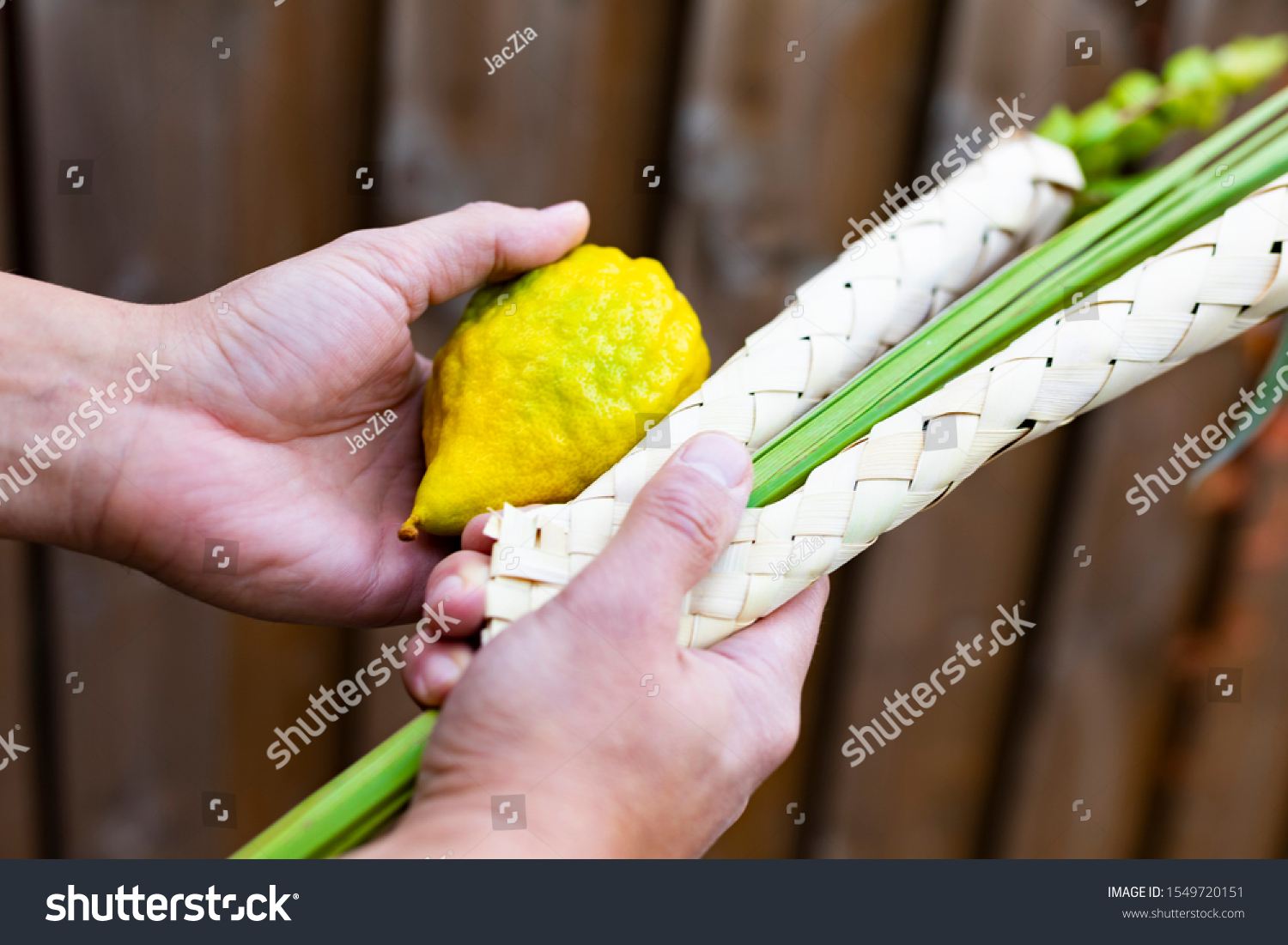 Jewish Sukkot Festival Man Holding Lulav Stock Photo 1549720151 | Shutterstock