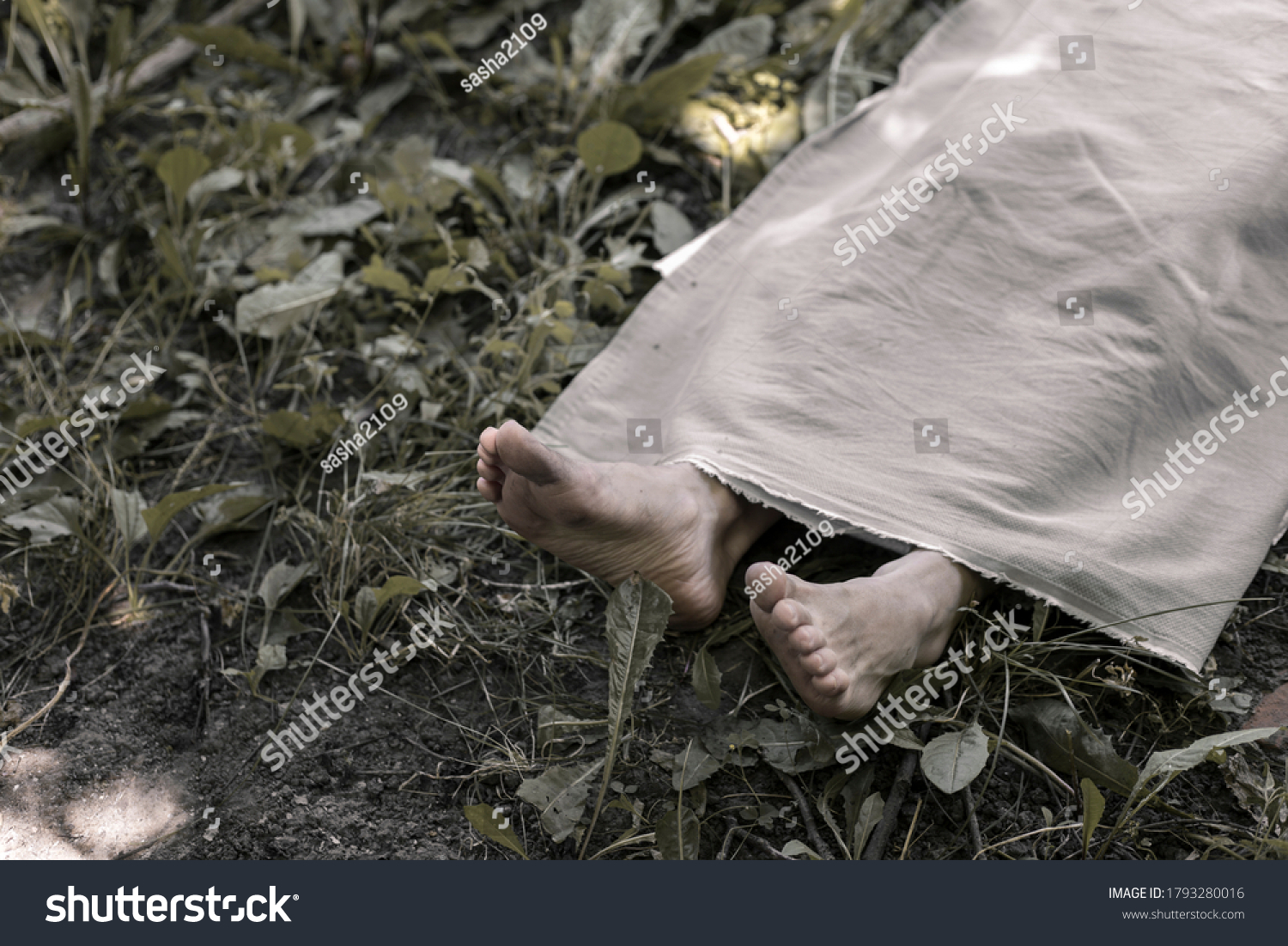 9-428-crime-forest-images-stock-photos-vectors-shutterstock