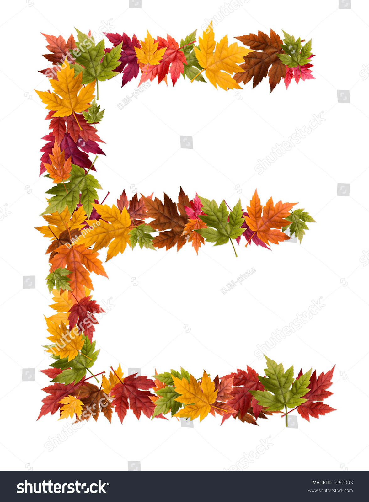 The Letter E Made From Autumn Maple Tree Leaves. Stock Photo 2959093 ...