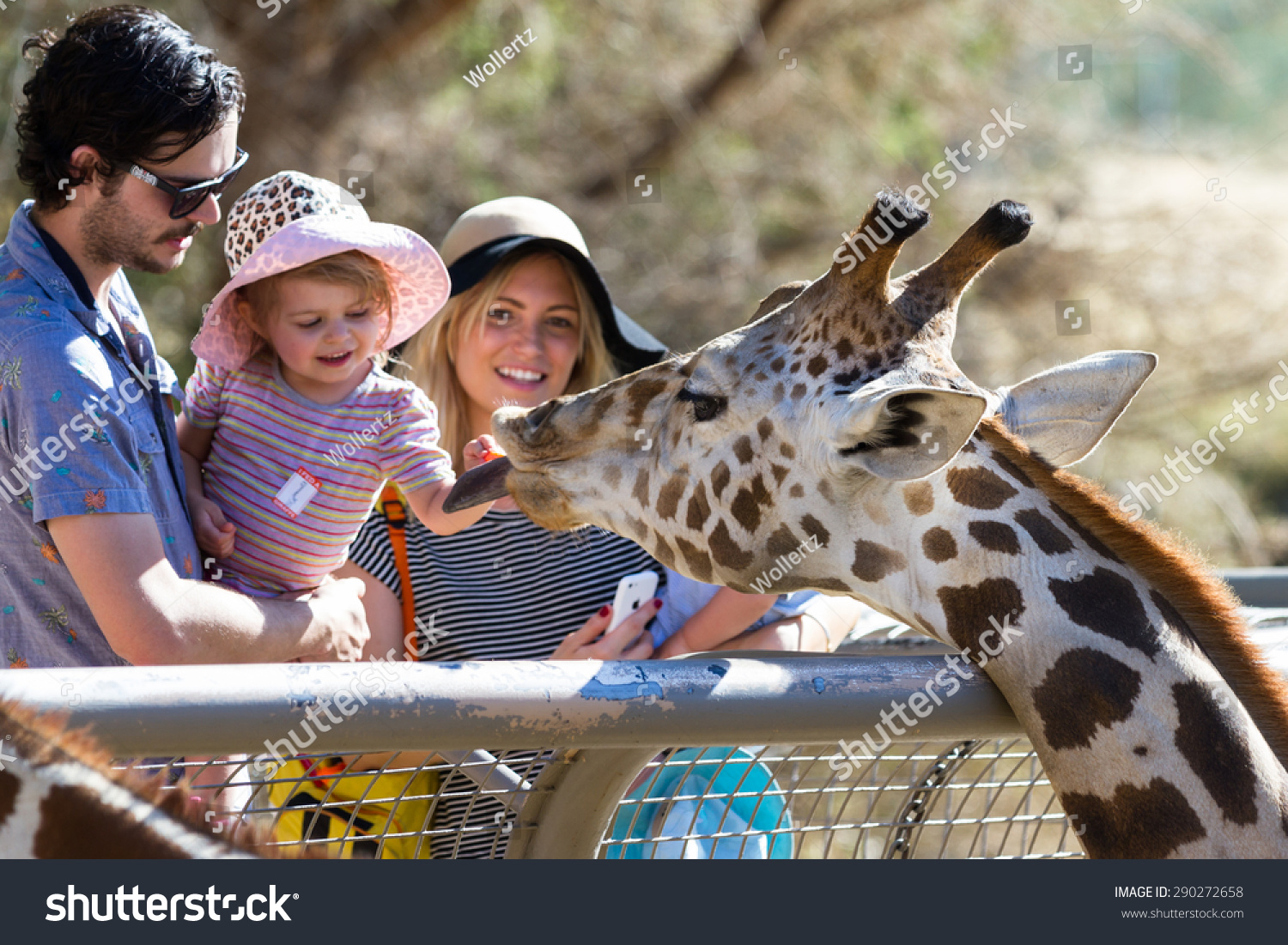 7,011 Baby mom zoo Images, Stock Photos & Vectors | Shutterstock