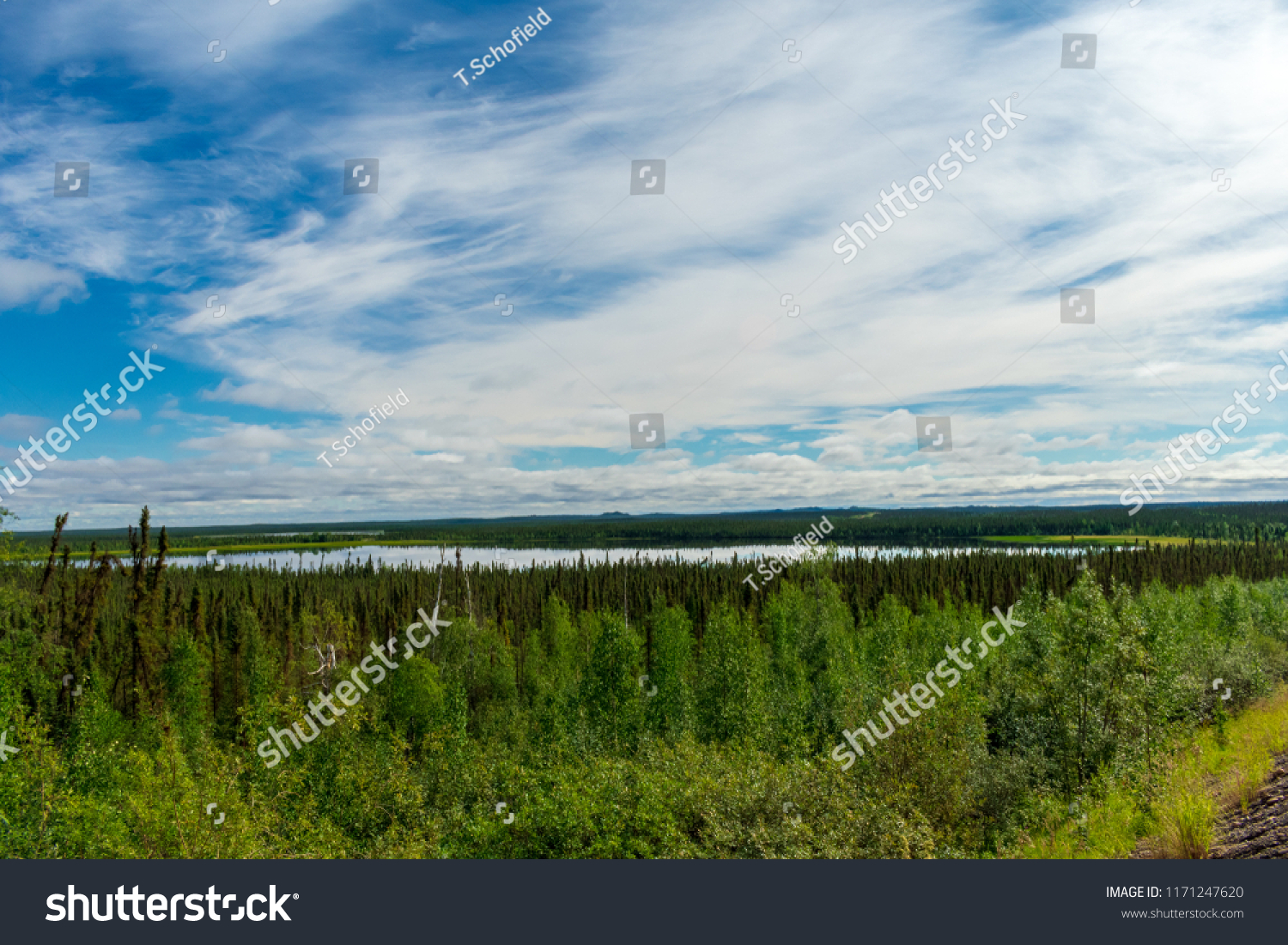 Mackenzie River Delta Stock Photo 1171247620 | Shutterstock