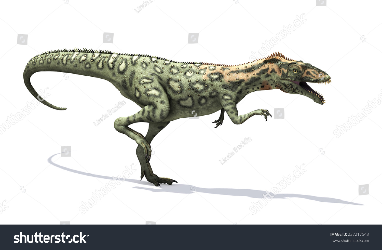 The Masiakasaurus Was A Small Dinosaur That Lived During The Cretaceous ...