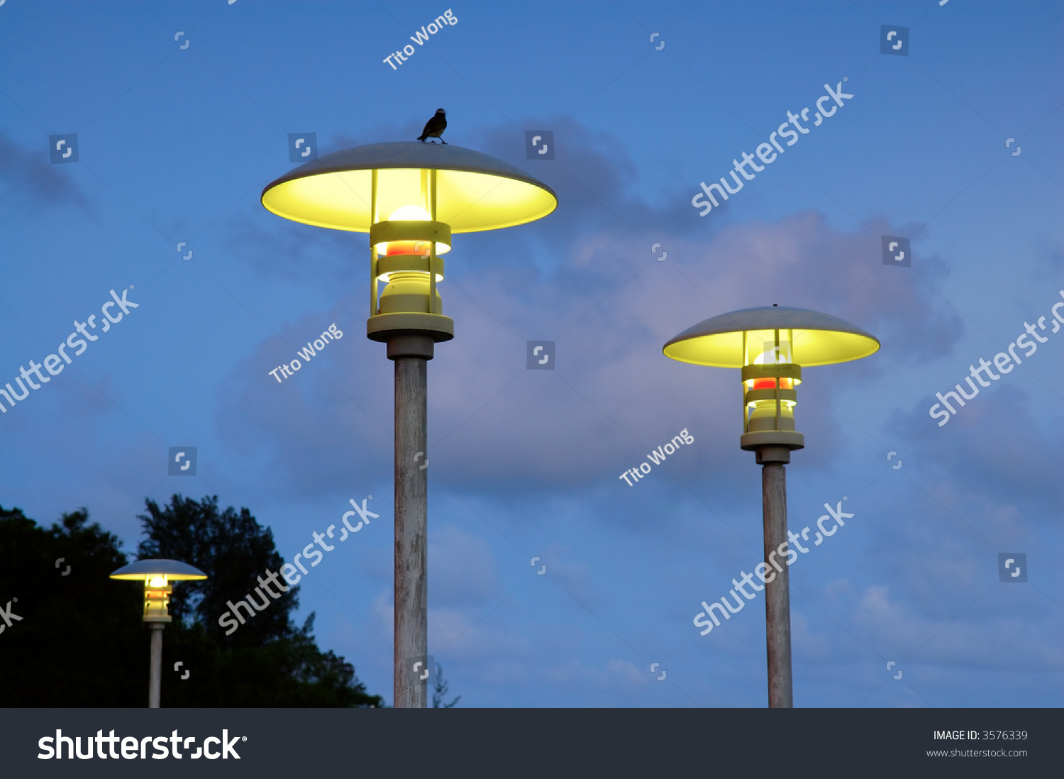 Modern Street Lamps Over Blue Sky Stock Photo 3576339 - Shutterstock for Modern Street Lamps
113lpg Modern Street Lamps Over Blue Sky Stock Photo 3576339 - Shutterstock for Modern Street Lamps
113lpg