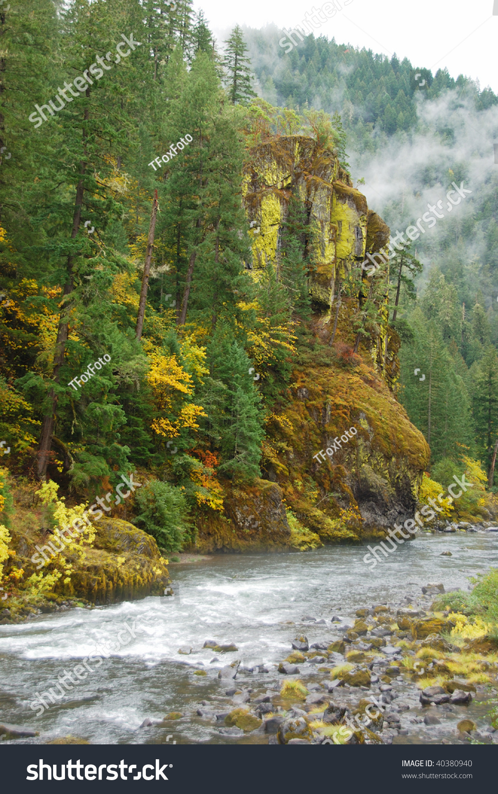 The North Umpqua River As It Passes By Some Wonderful Fall Colors And ...