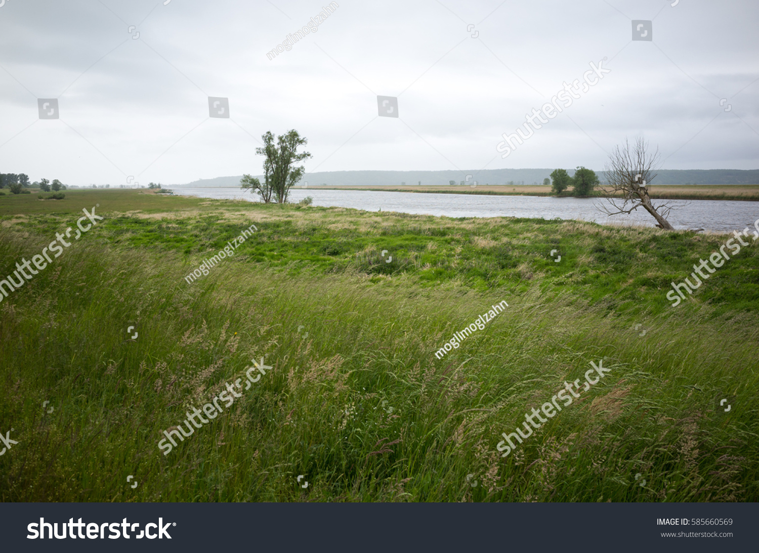 Oder Czech Polish Odra Meaning Water Stock Photo Edit Now 585660569