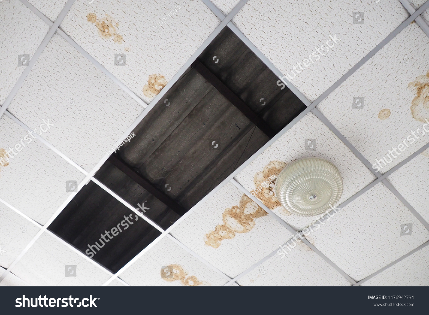 Old Concrete Roof Suspended Ceiling Stained Royalty Free