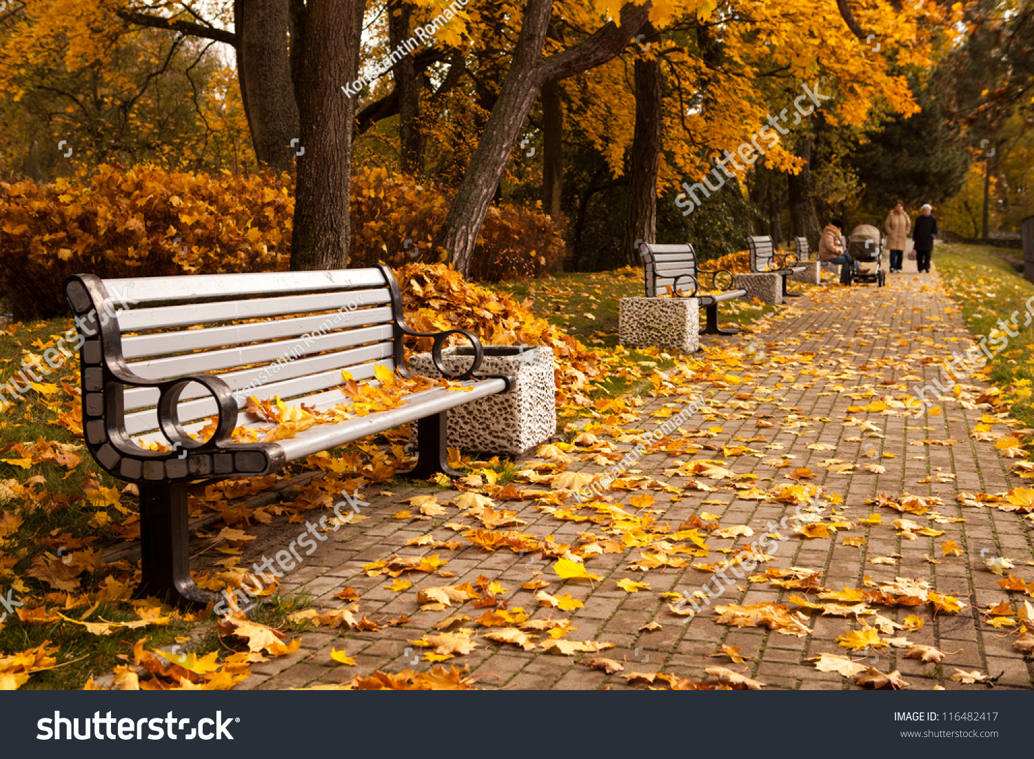 The Perspective Of The Row Of Benches In Autumn Park While Fall With ...