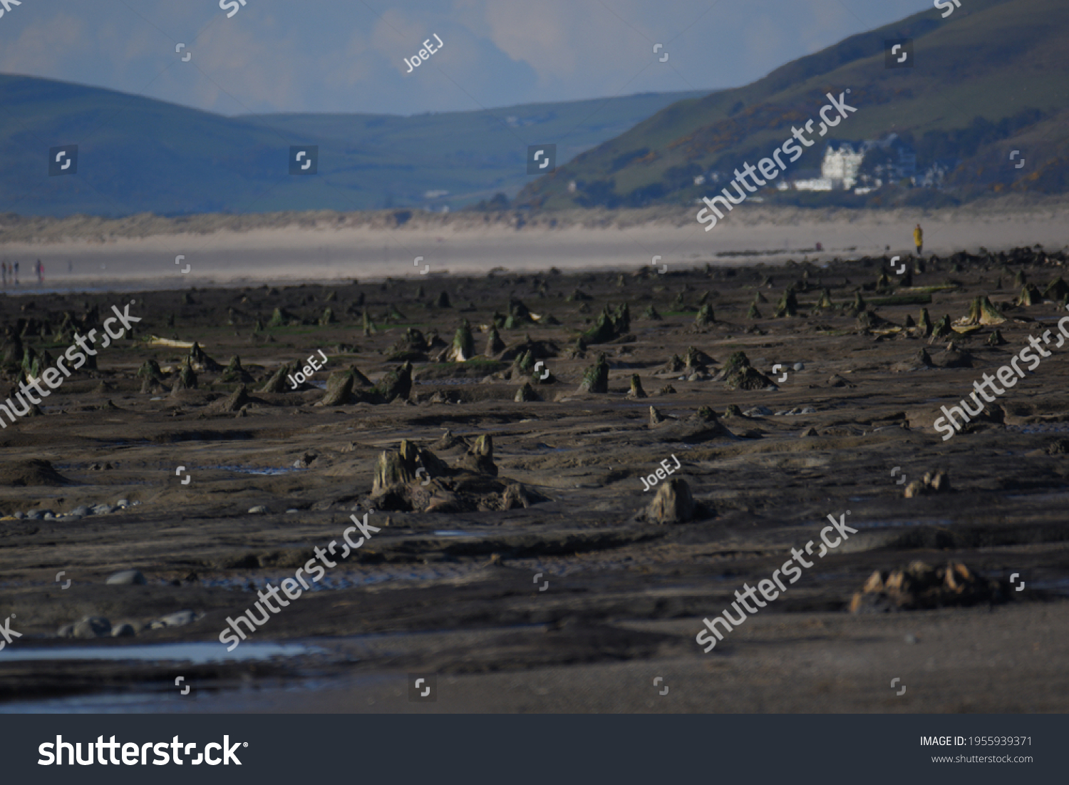 Petrified Forest Reviled Few Years Ago Stock Photo 1955939371 ...