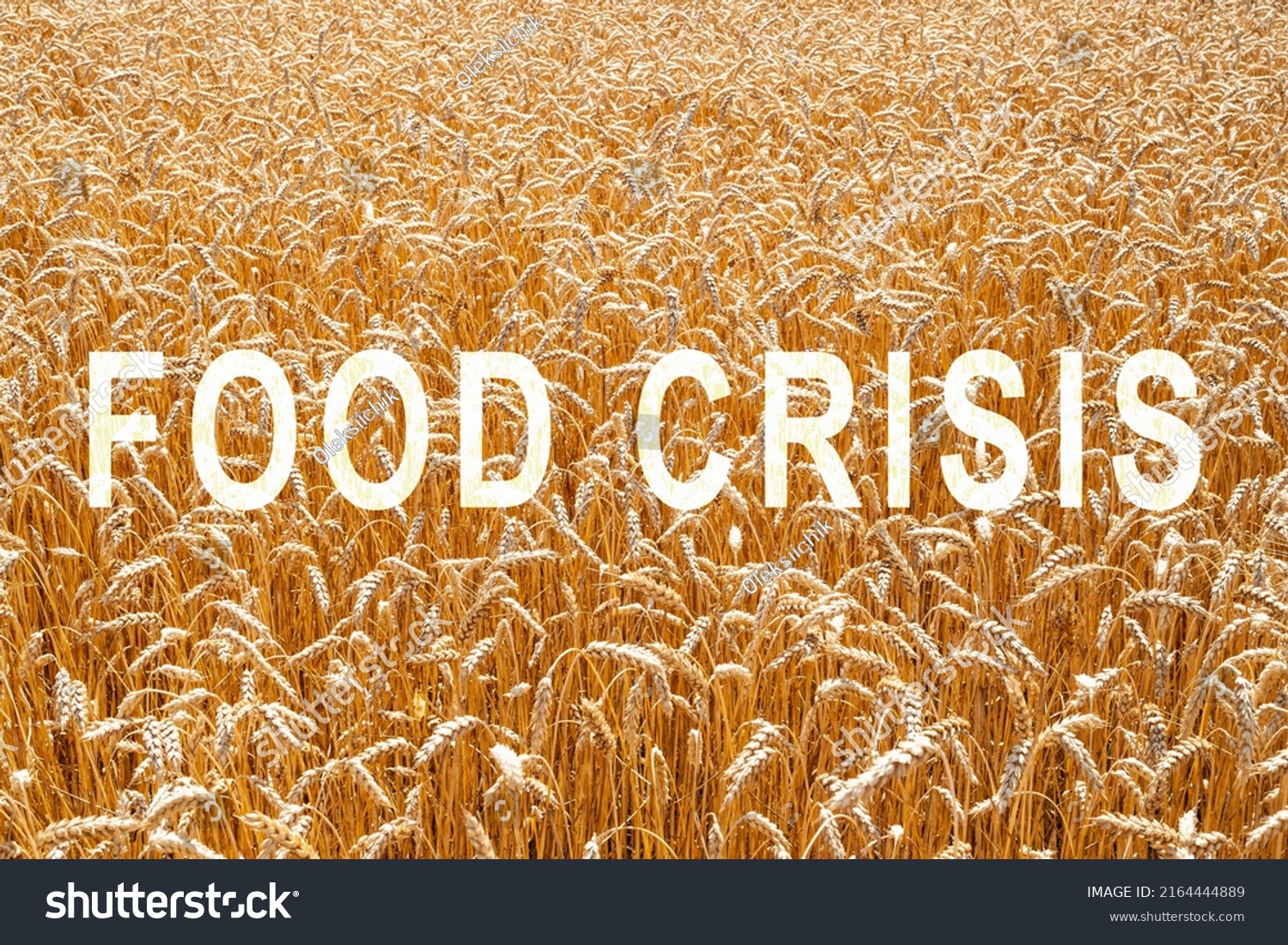 Problem Shortage Wheat World Food Crisis Stock Photo 2164444889