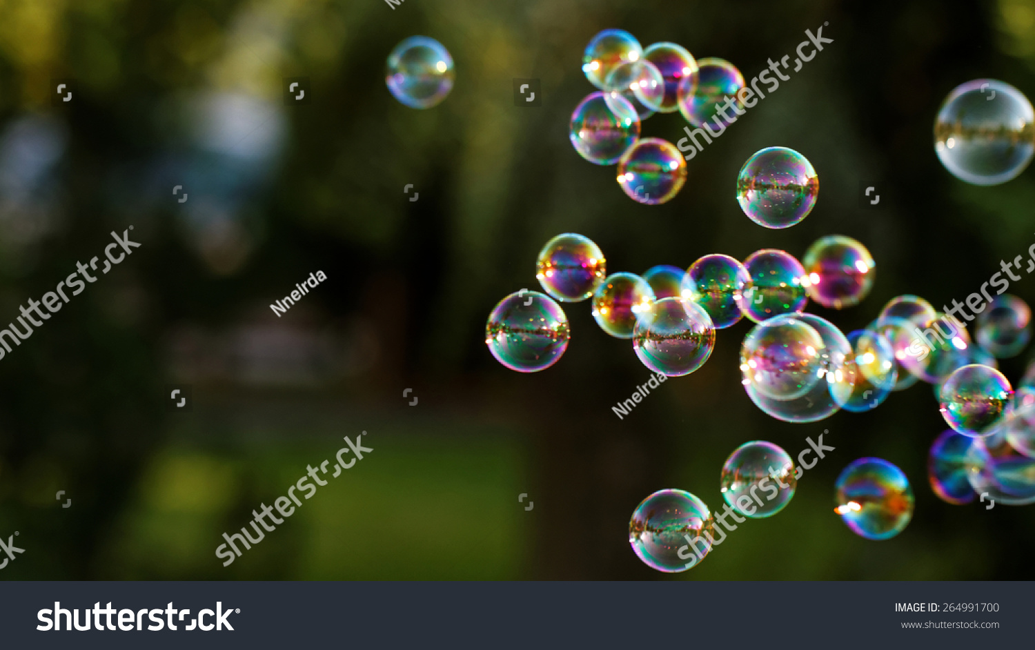 The Rainbow Bubbles From The Bubble Blower Stock Photo 264991700 ...