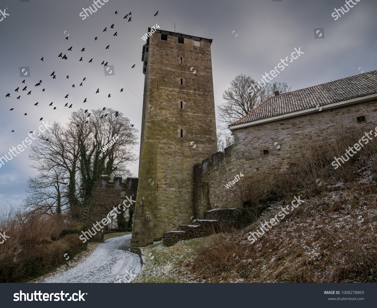 Schaumburg Castle Birds Sky Germany Stock Photo 1008278869 | Shutterstock