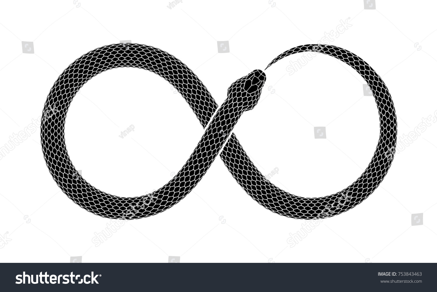 蛇は無限の印の形で尾を噛む 白い背景にウロボロスのシンボルタトゥーデザイン のイラスト素材