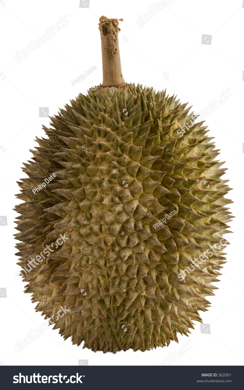 spiky fruit called durian otherwise known stock photo 362001