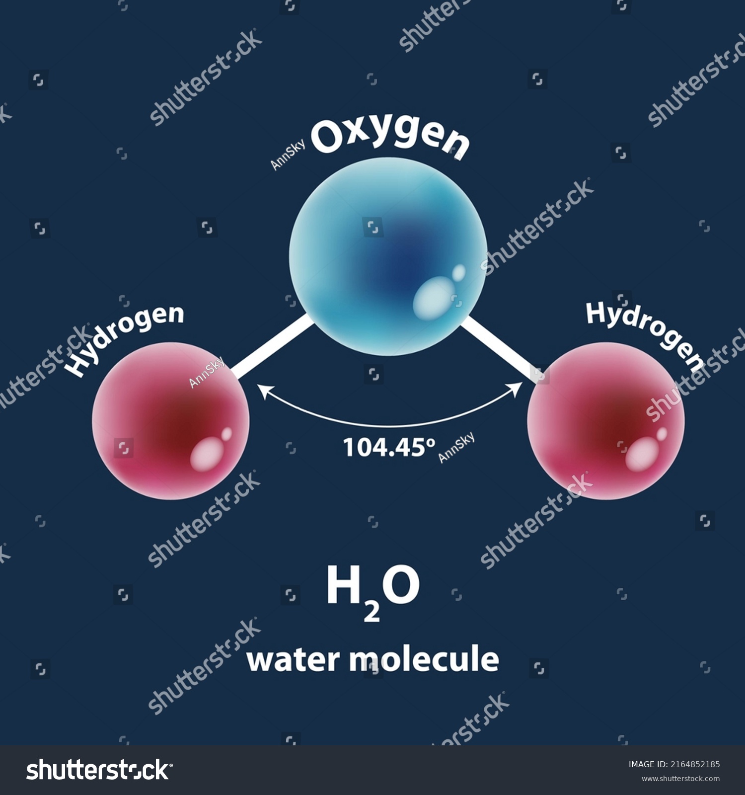 Structure Water Molecule Stock Illustration 2164852185 Shutterstock