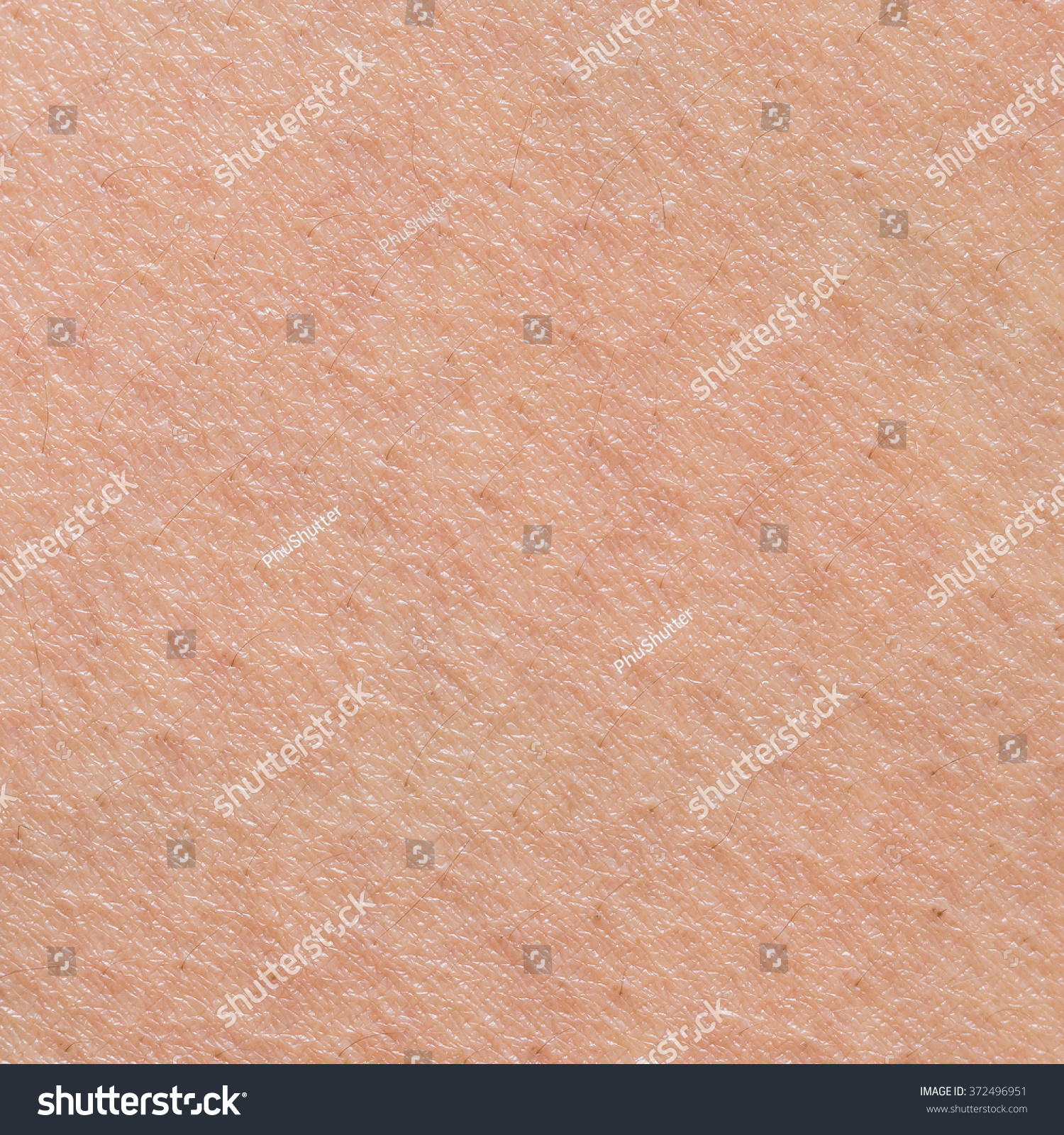 The Texture Of The Skin Stock Photo 372496951 : Shutterstock