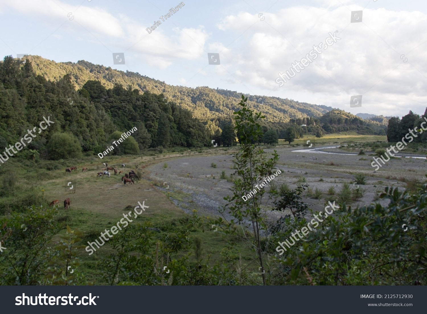 Matahi Images, Stock Photos & Vectors | Shutterstock