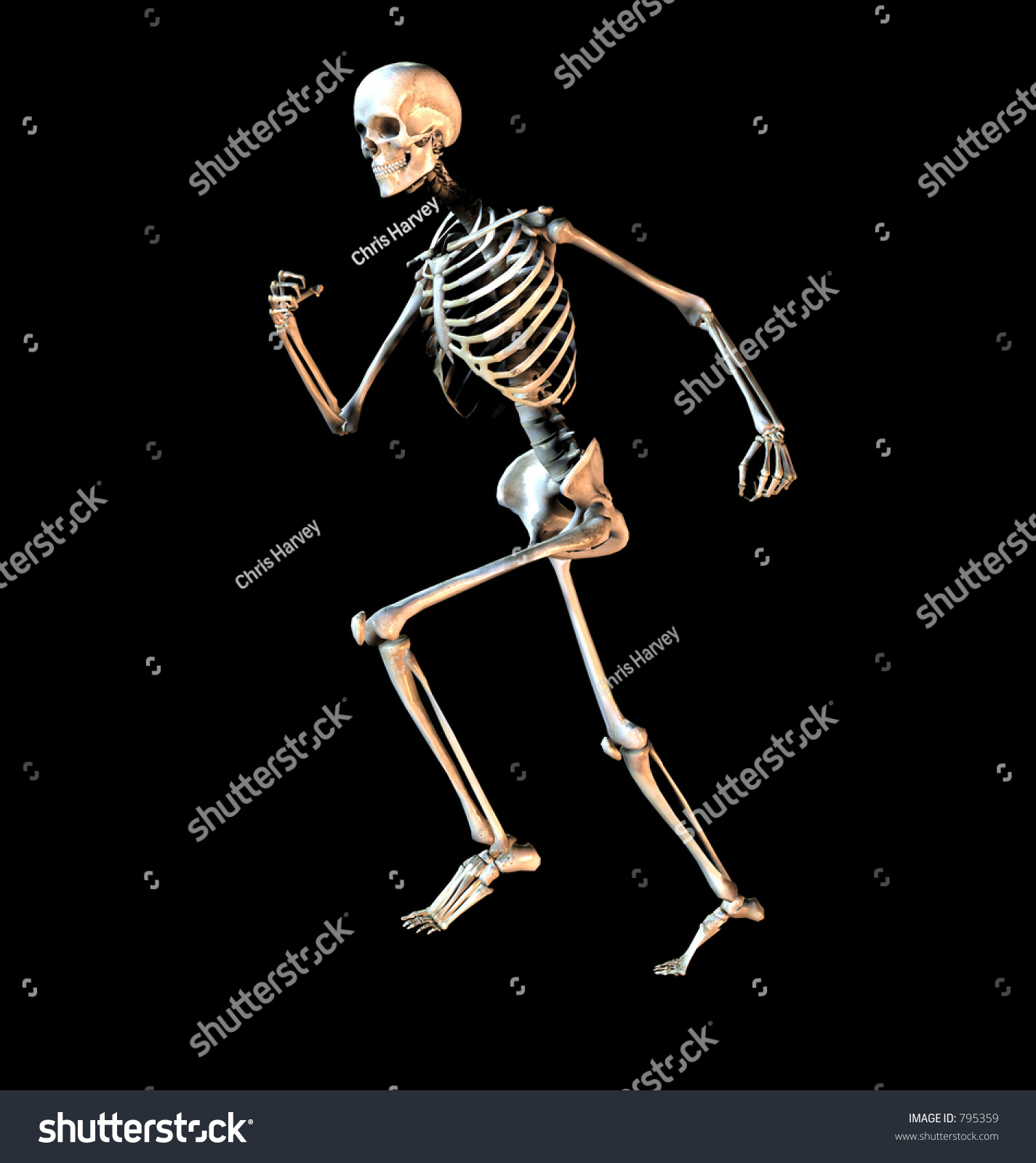 This Skeleton Running Pose Stock Illustration 795359 