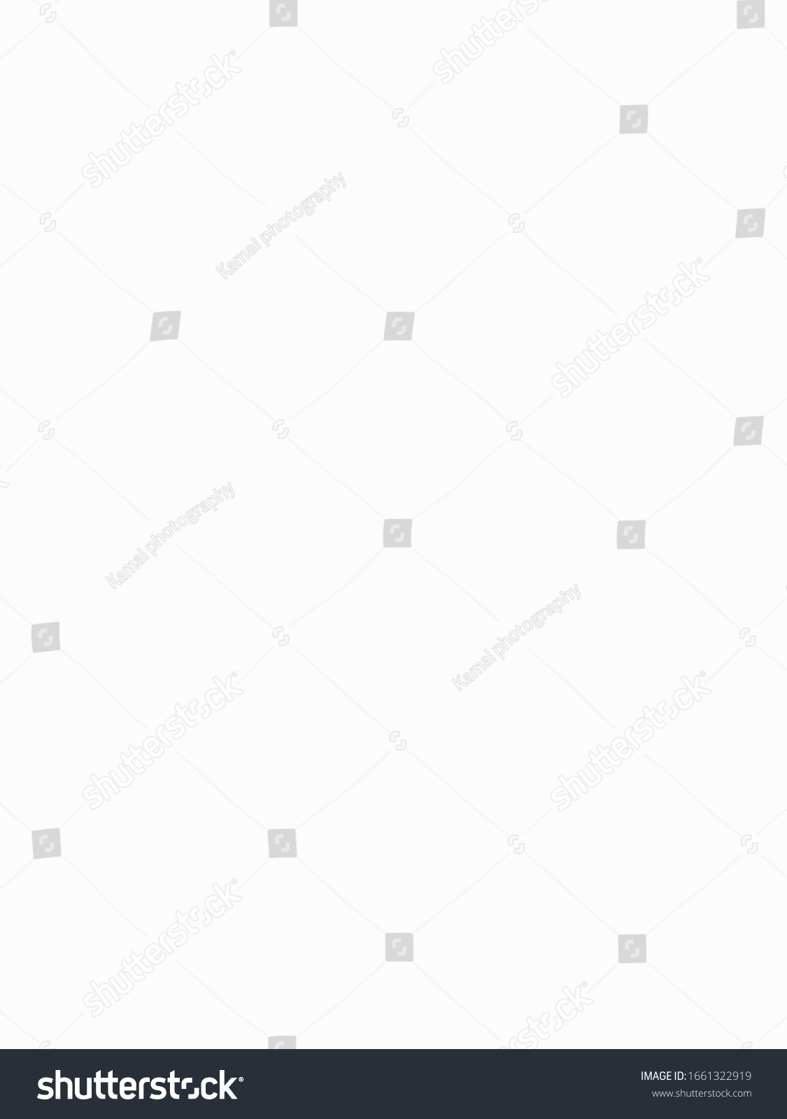 This Picture White Backgroundempty Space Stock Illustration 1661322919 ...