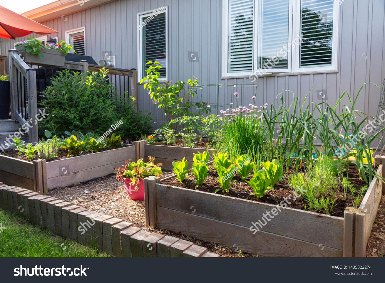 This Small Urban Backyard Garden Contains Stock Photo Edit Now
