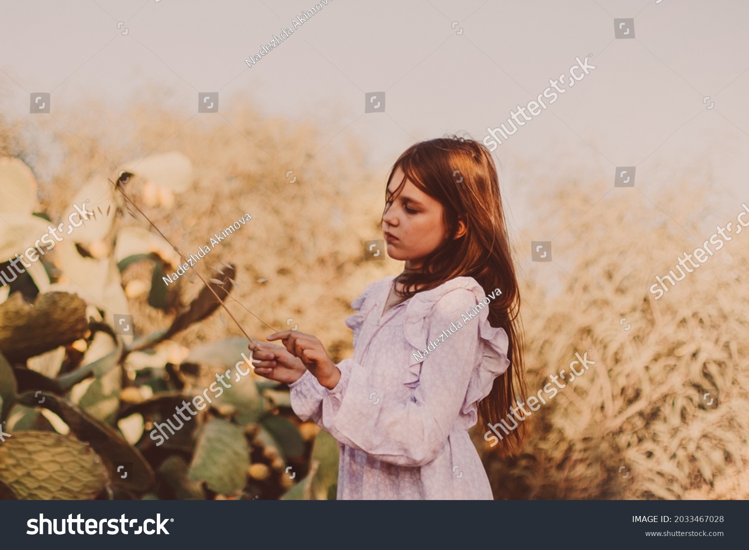 25 197 Kids Desert Images Stock Photos Vectors Shutterstock 25 197 Kids Desert Images Stock Photos Vectors Shutterstock
