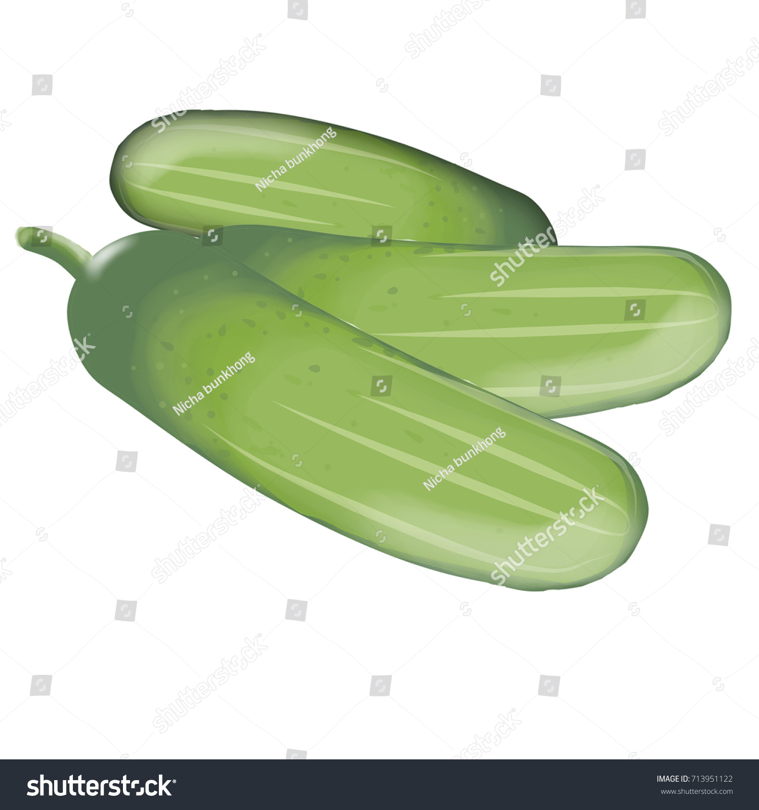 green cucumbers, fresh produce, white background clip art preview