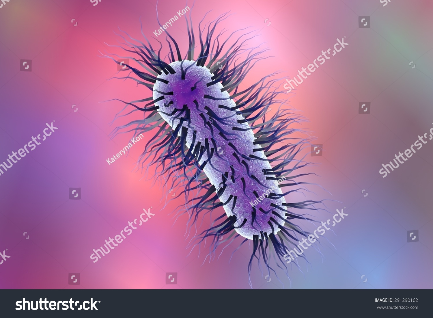 Threedimensional Drawing Escherichia Coli Stock Illustration 291290162