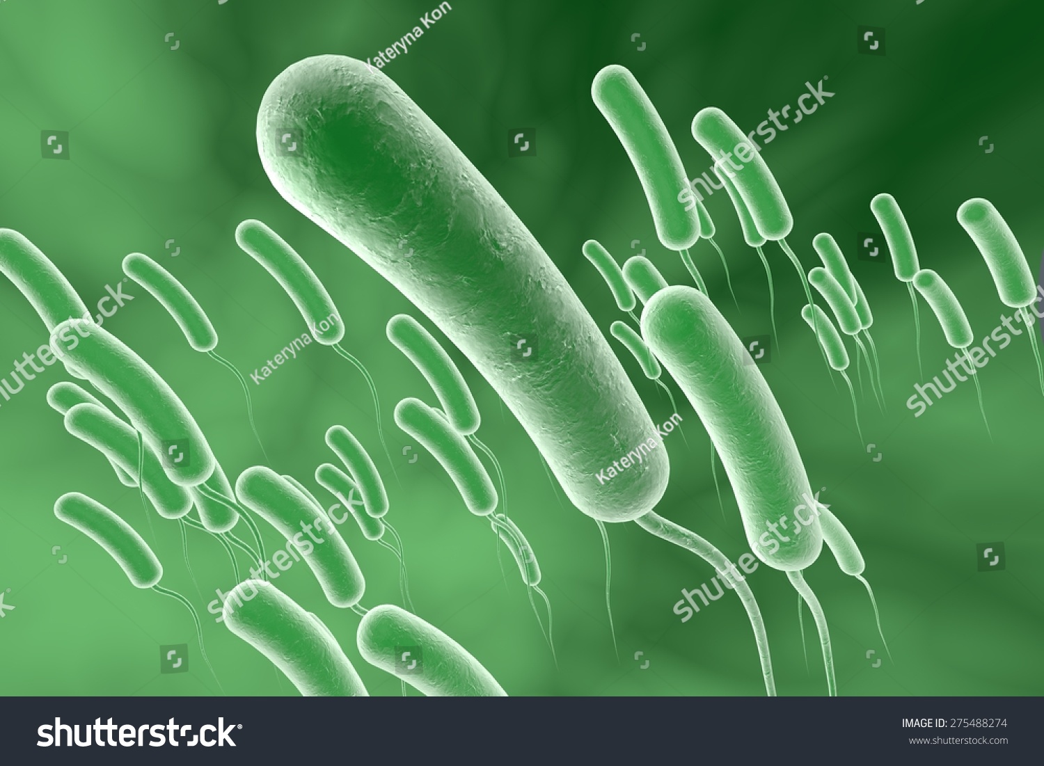 Three-Dimensional Drawing Of Vibrio Cholerae; Model Of Bacteria ...