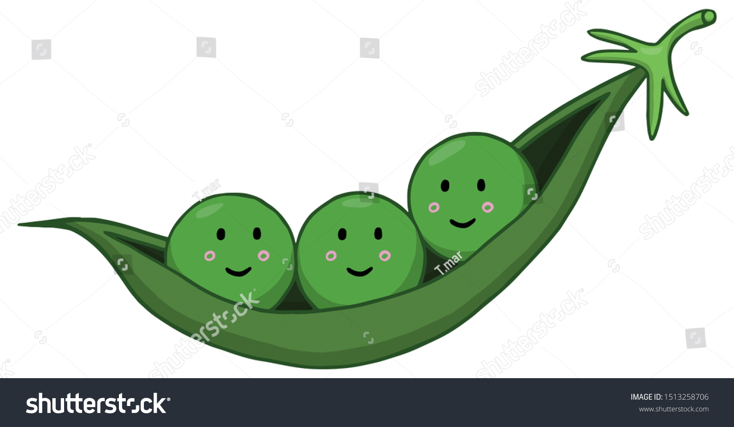 Three Peas Pod Illustration Drawing ilustración de stock 1513258706