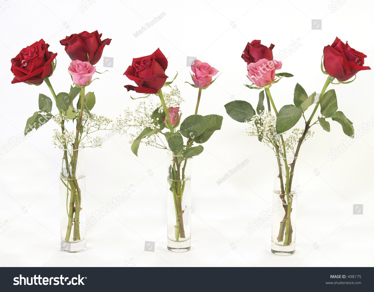 Three Vases Roses Stock Photo Edit Now 498175