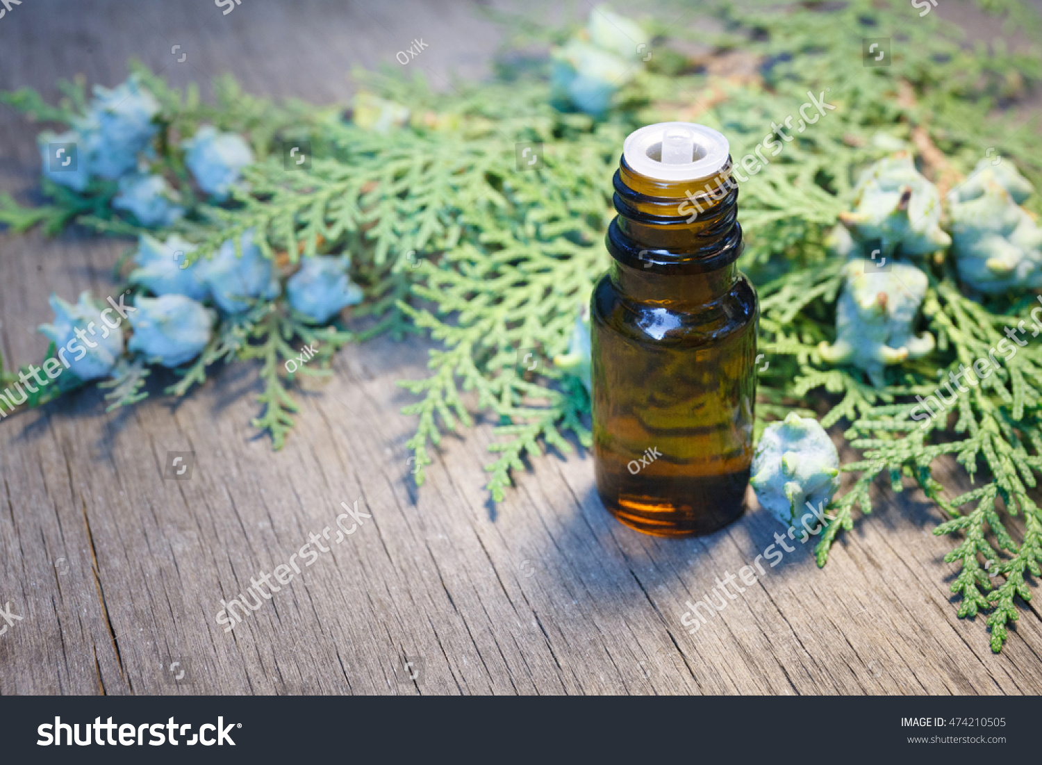 How can adenoids be cured with thuja oil How can adenoids be cured with thuja oil