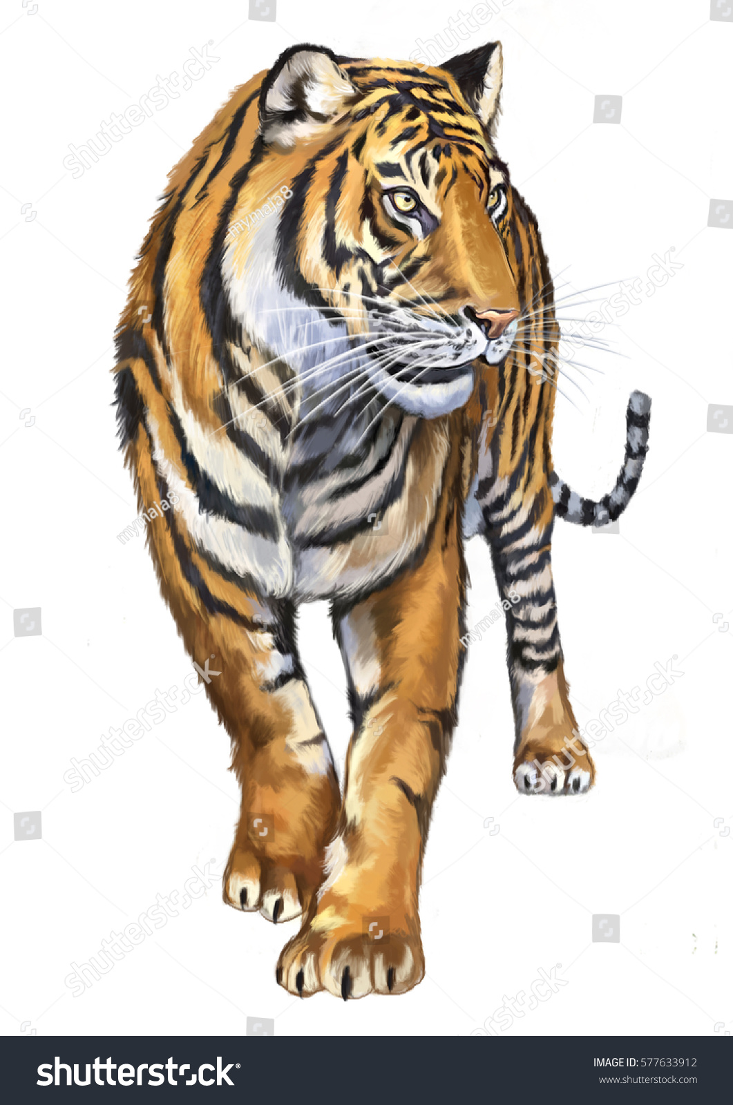 Tiger Illustration Stock Illustration 577633912