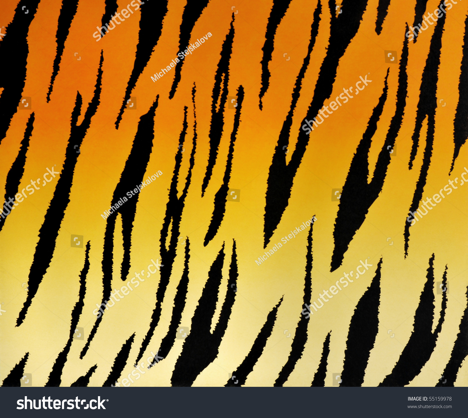 Tiger Pattern Stock Photo 55159978 : Shutterstock