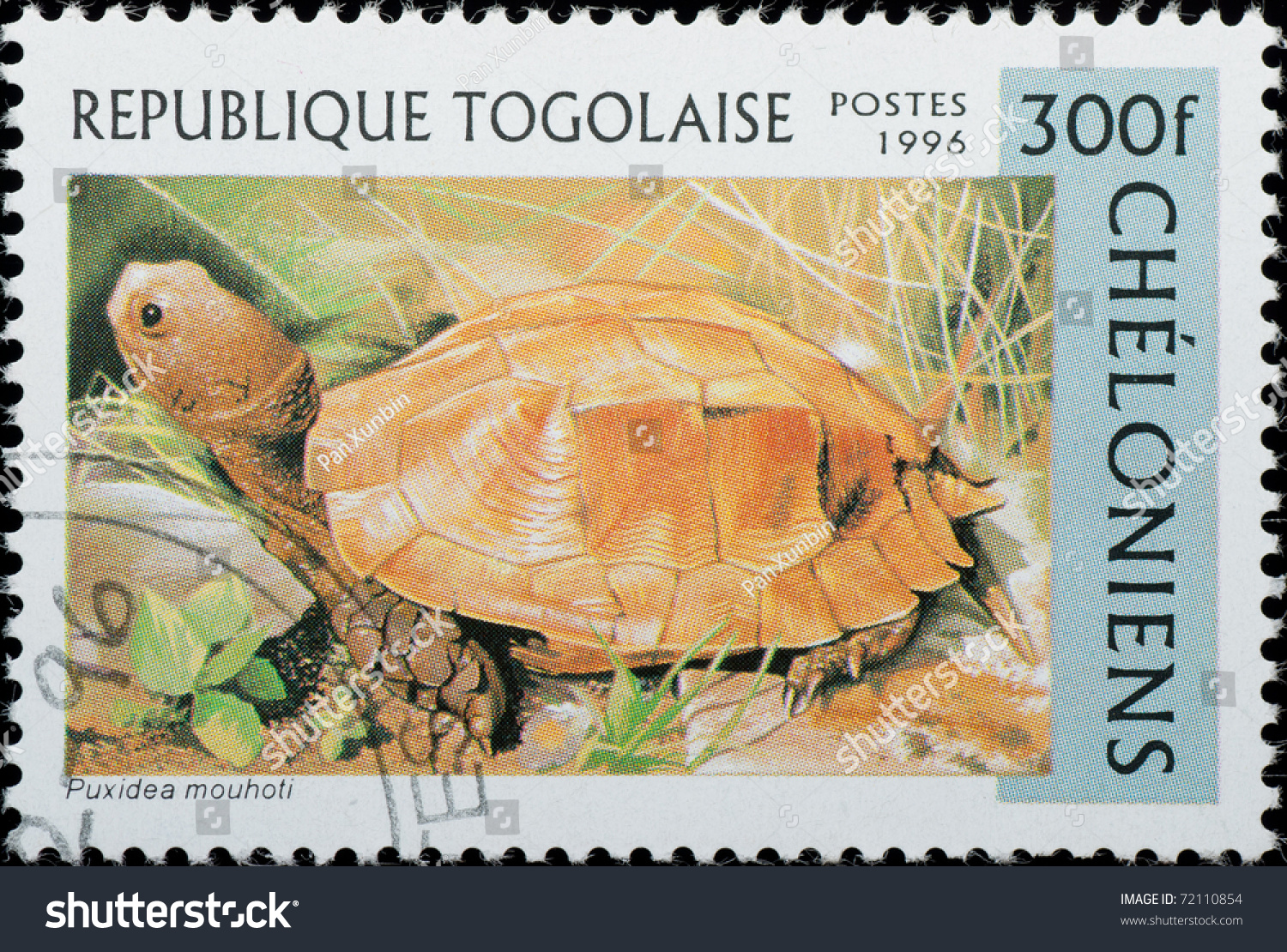 Togo - Circa 1996: A Stamp Printed In Togo Shows Animal Reptile Turtle ...