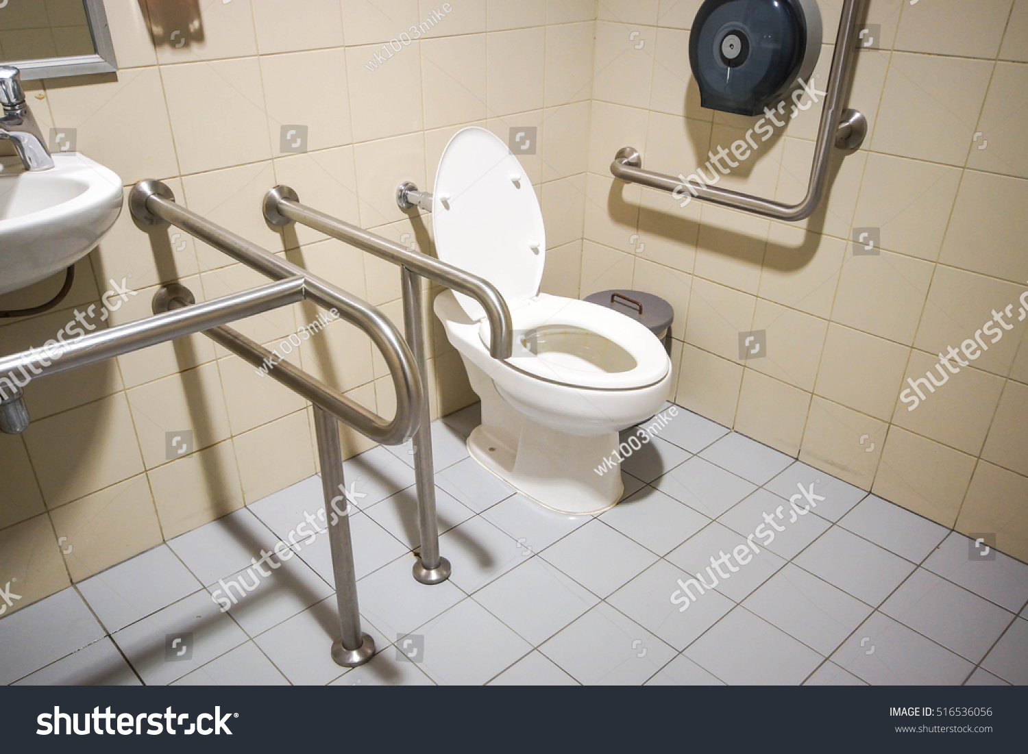 Toilet Friendly Design People Disability Stock Photo (Edit Now) 516536056