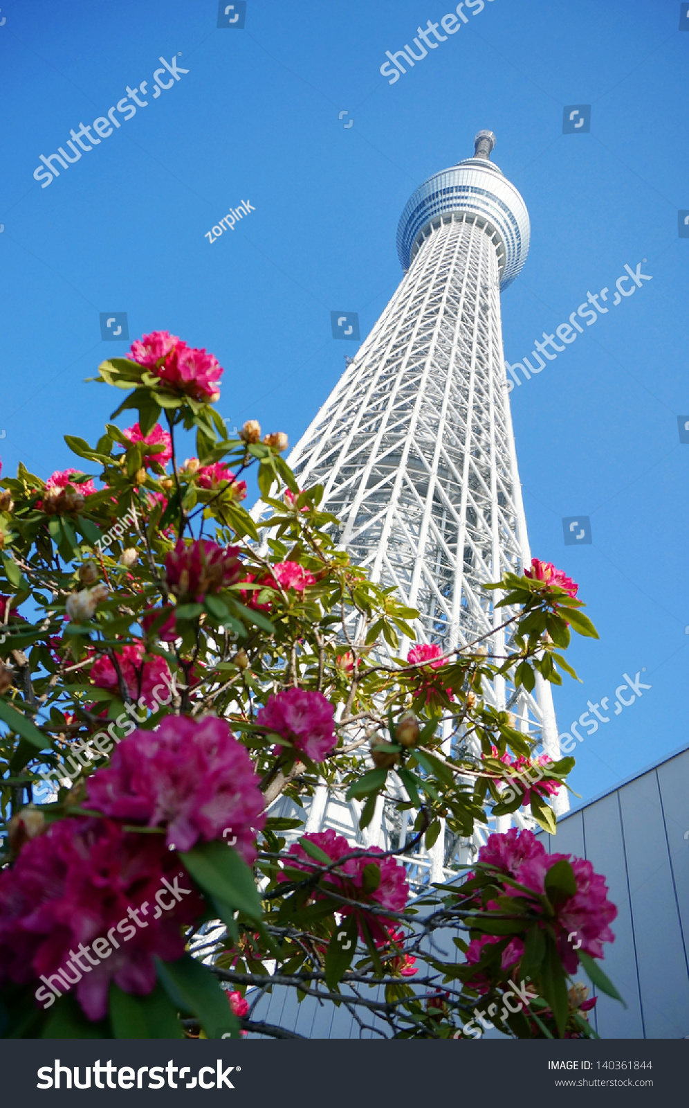 Tokyo, Japan - April 13: Tokyo Sky Tree, The New Japanese Radio Tower ...