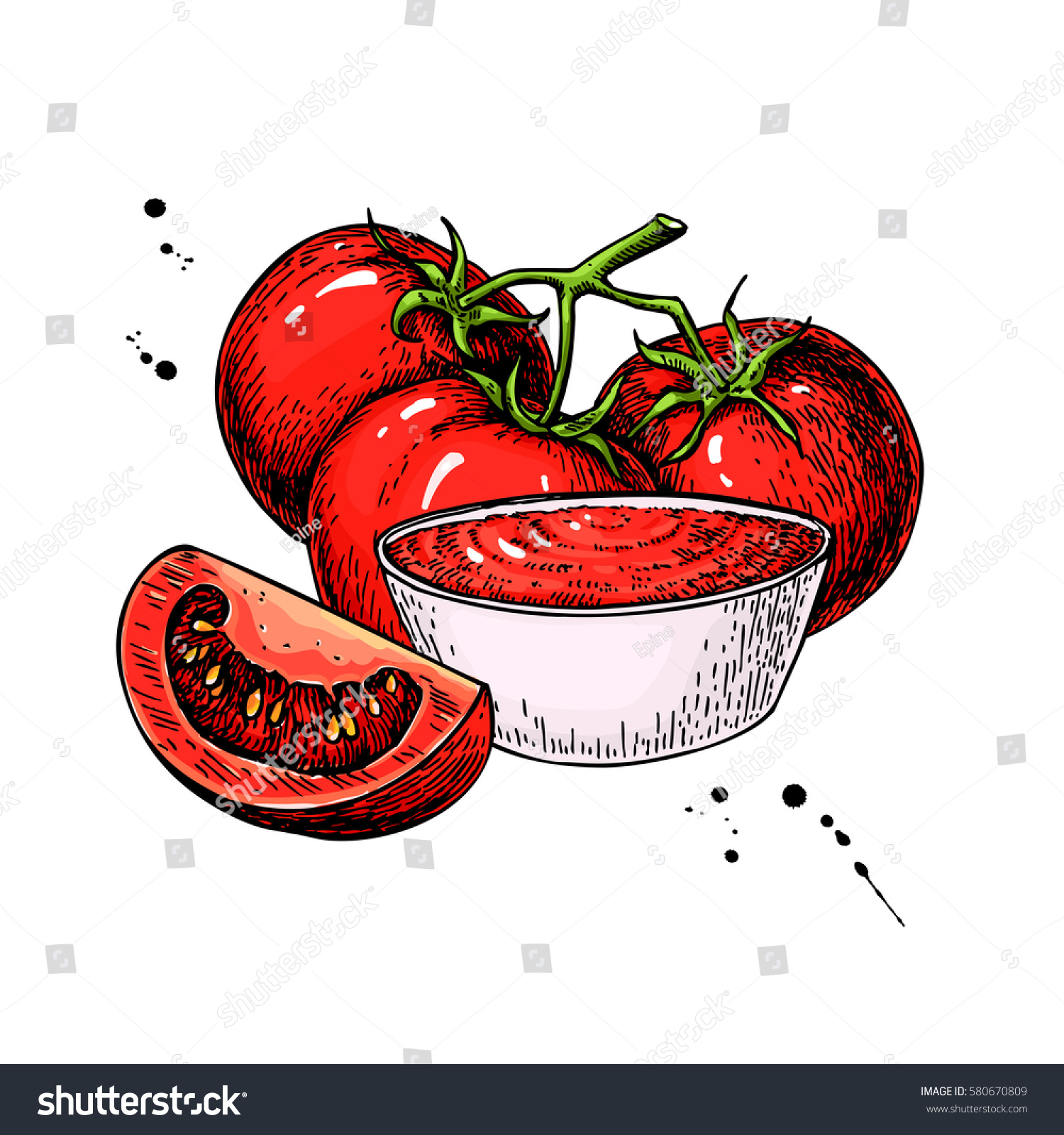 Tomato Sauce Drawing Isolated Illustration Bowl Stock Illustration ...