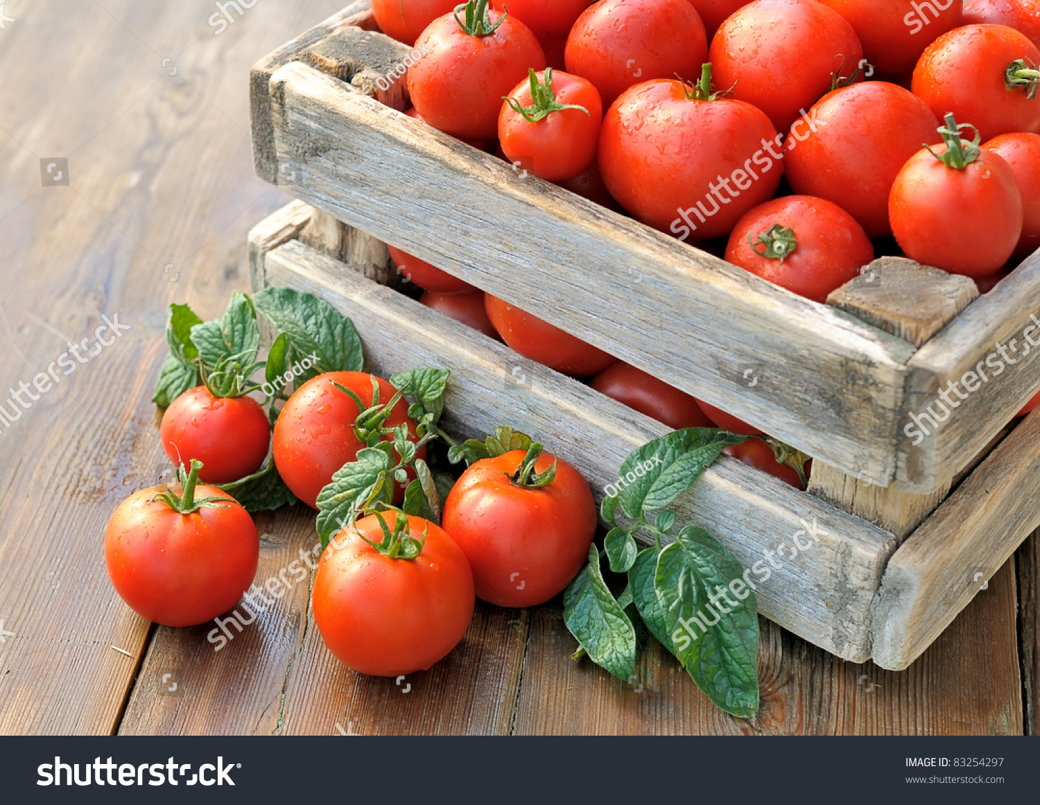 Tomatoes In A Box. Ripe Tomatoes In A Container. Stock Photo 83254297 ...