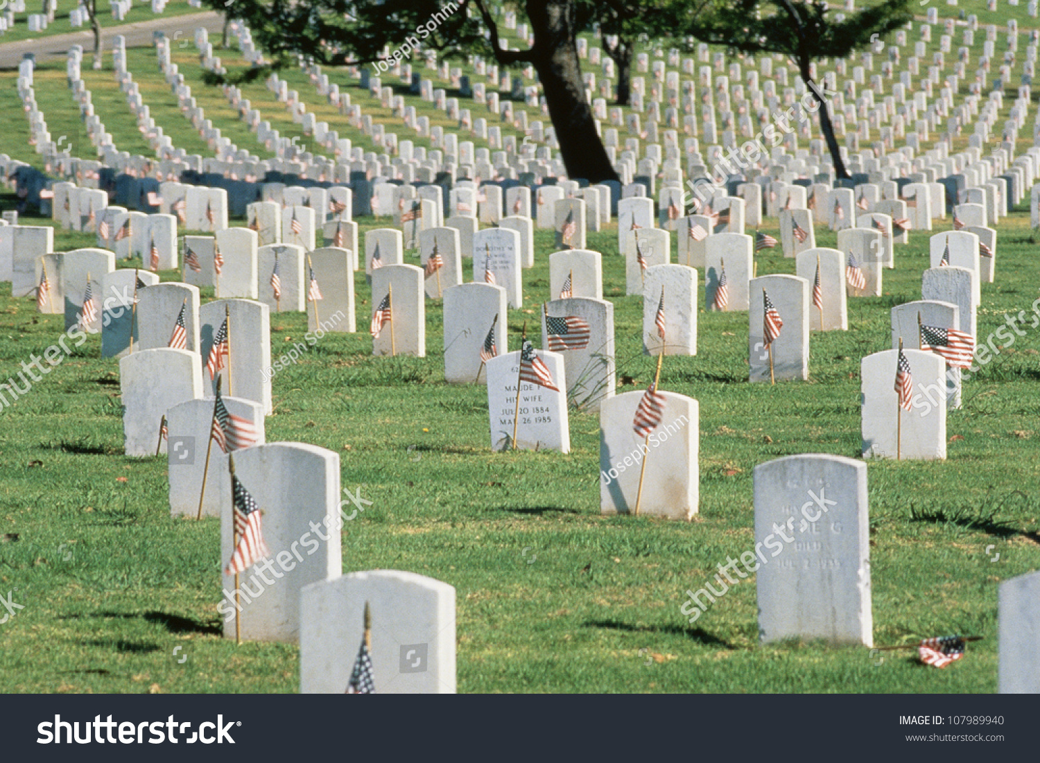 Tombstones Arlington National Cemetery Stock Photo (Edit Now) 107989940