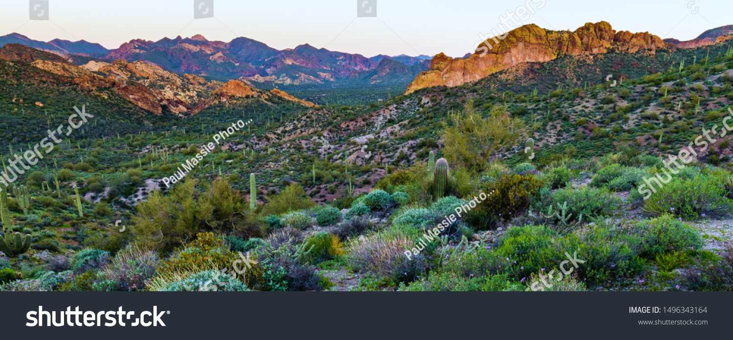 5 169 Tonto National Forest Images Stock Photos Vectors Shutterstock   Stock Photo Tonto National Forest At Sunrise 1496343164 