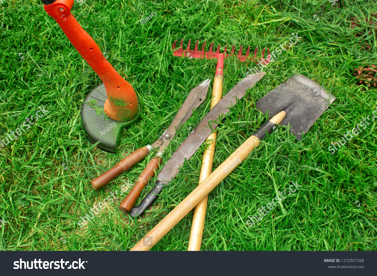 electric lawn rake