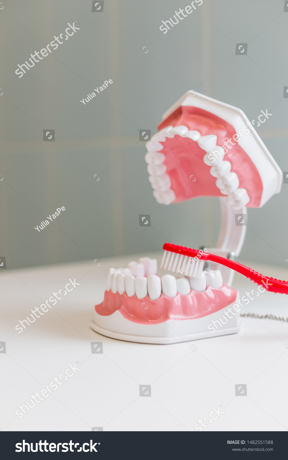 toothbrush samples