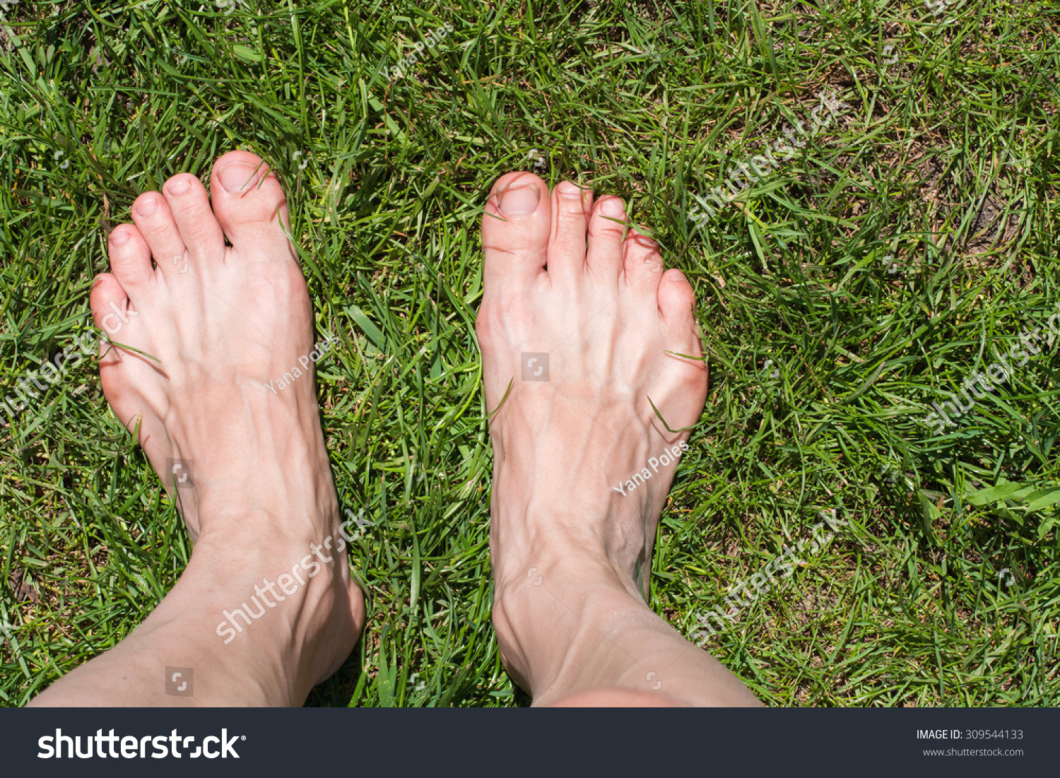 Top View Barefoot Feet On Grass Stock Photo 309544133 Shutterstock