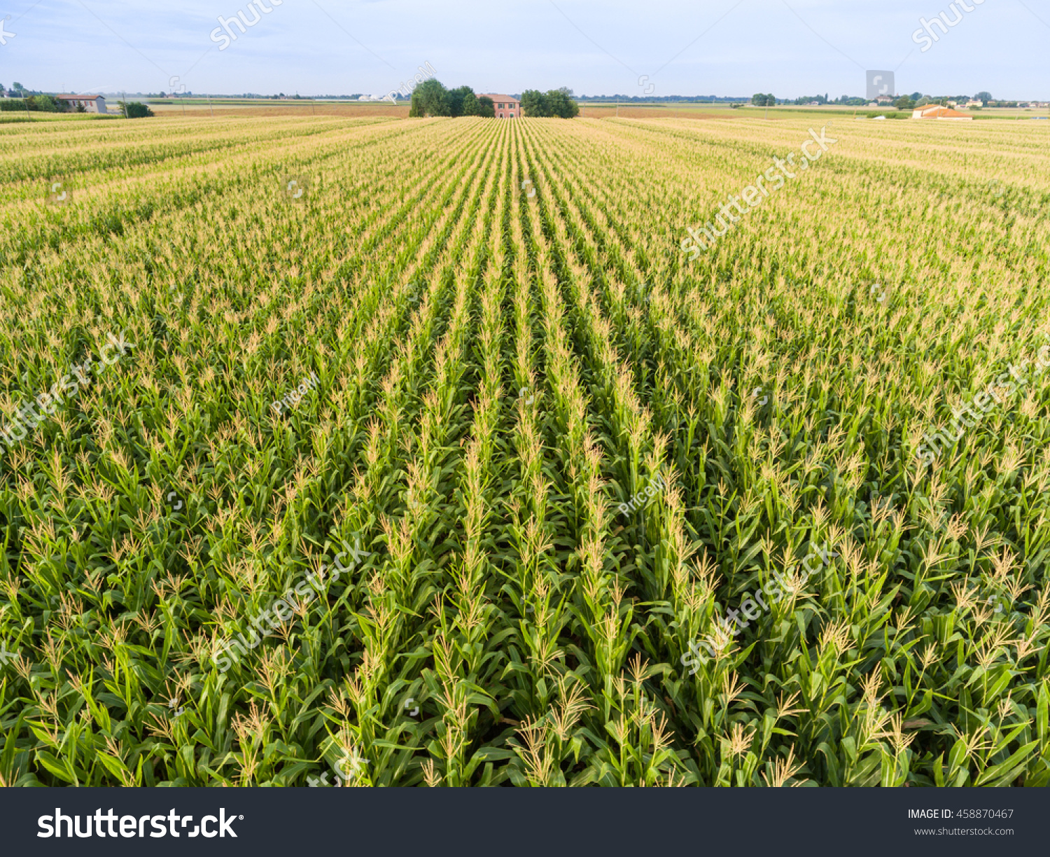 21,777 Aerial corn Images, Stock Photos & Vectors | Shutterstock