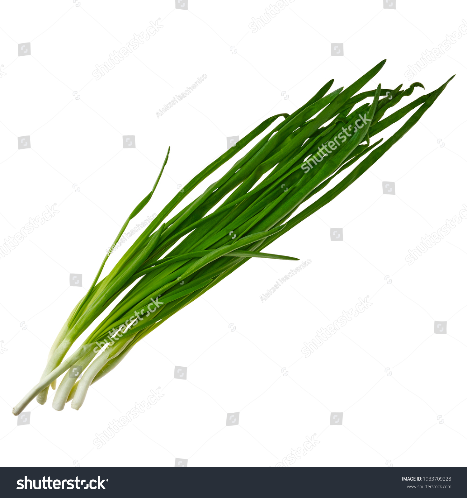 Top View Fresh Spring Onion Isolated Stock Photo 1933709228 | Shutterstock